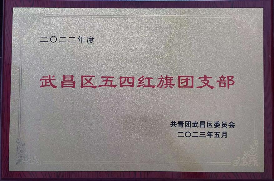 喜报！团武昌区委表彰我校四个先进集体和个人！