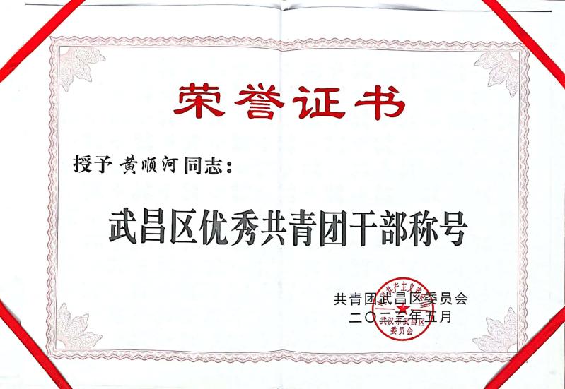 喜报！团武昌区委表彰我校四个先进集体和个人！