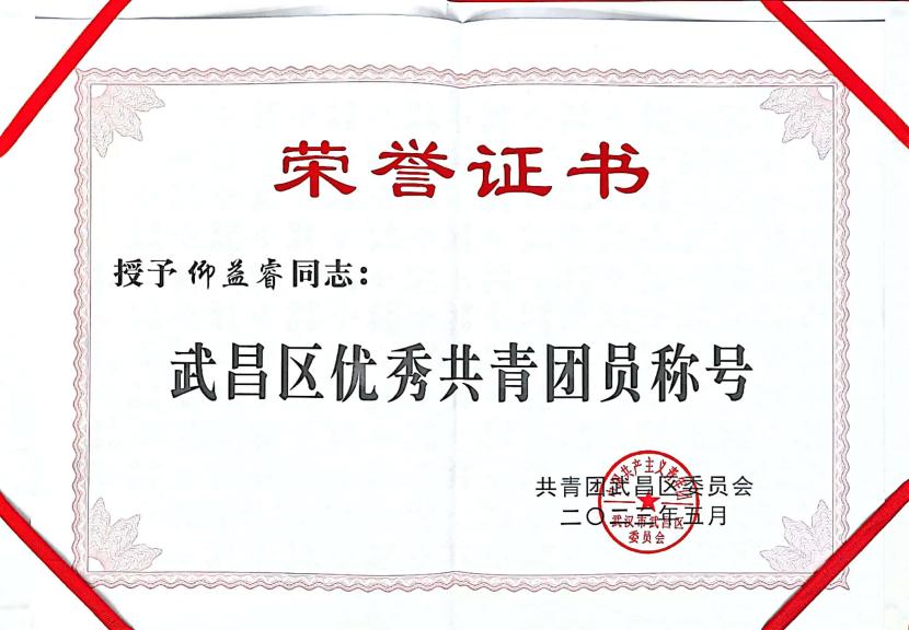 喜报！团武昌区委表彰我校四个先进集体和个人！