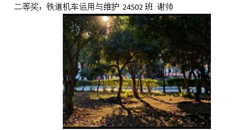 青春光影，定格武科职美好瞬间 ——2026世界杯官网2026年校园摄影大赛圆满收官