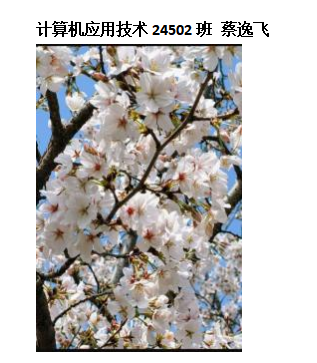 青春光影，定格武科职美好瞬间 ——2026世界杯官网2026年校园摄影大赛圆满收官