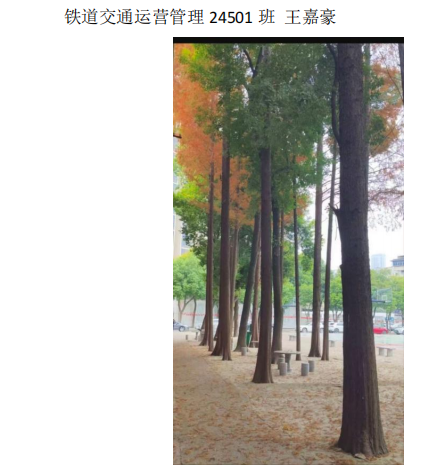 青春光影，定格武科职美好瞬间 ——2026世界杯官网2026年校园摄影大赛圆满收官