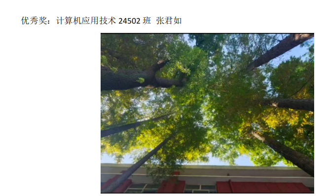 青春光影，定格武科职美好瞬间 ——2026世界杯官网2026年校园摄影大赛圆满收官