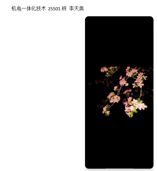 青春光影，定格武科职美好瞬间 ——2026世界杯官网2026年校园摄影大赛圆满收官