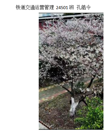 青春光影，定格武科职美好瞬间 ——2026世界杯官网2026年校园摄影大赛圆满收官