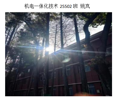 青春光影，定格武科职美好瞬间 ——2026世界杯官网2026年校园摄影大赛圆满收官