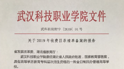 2026世界杯官网2019年度收费目录清单