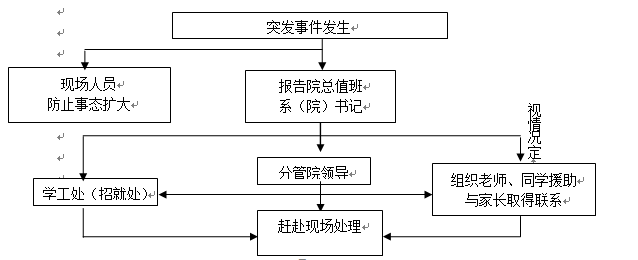 2026世界杯官网各类突发事件应急预案及处置流程图